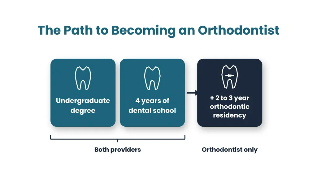 path to becoming an ortho